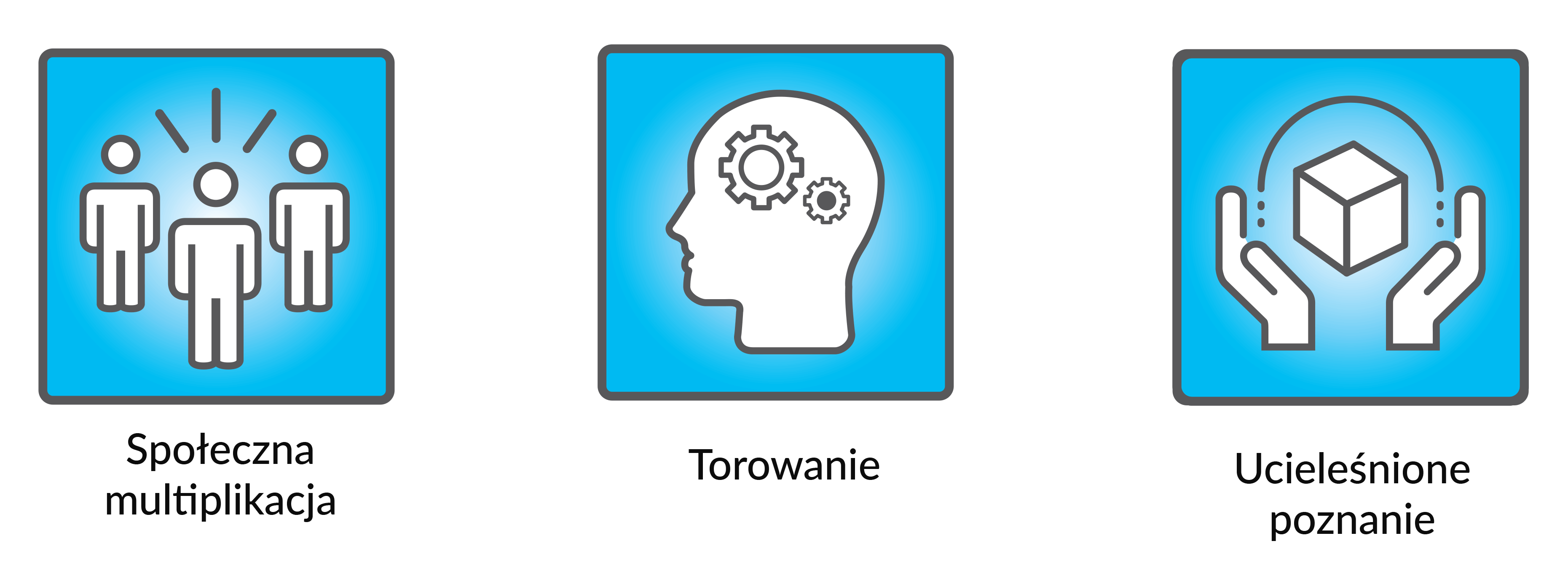 marketing multisensoryczny